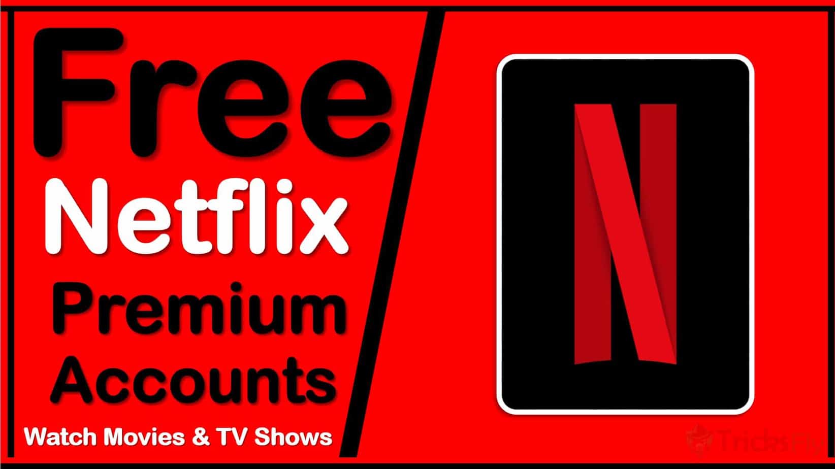 free netflix premium accounts